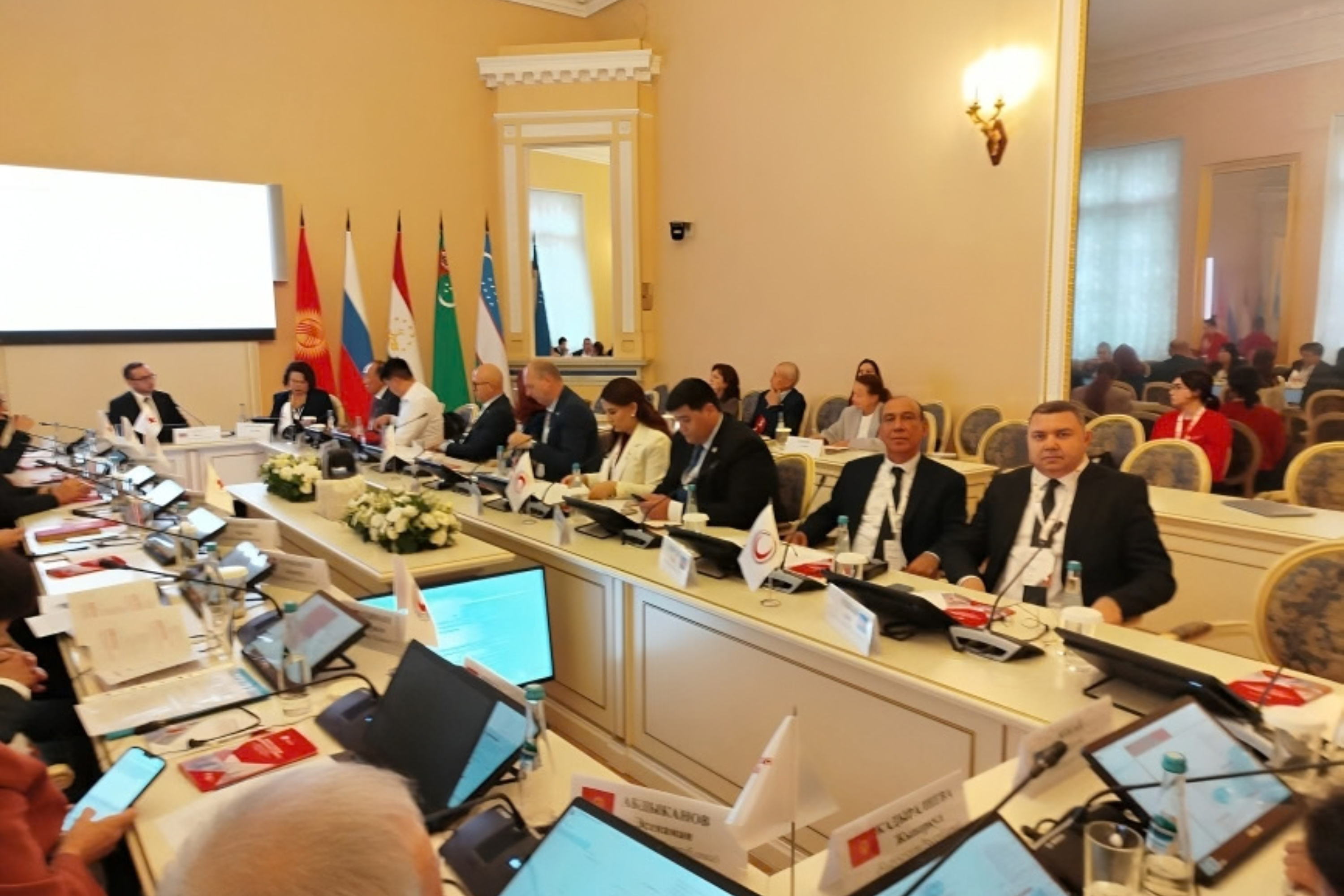  Meeting of leaders and representatives of the Red Cross and Red Crescent Societies.